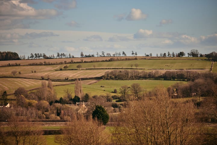 What happens after the government approves a local government reorganisation proposal?